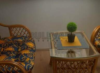 Jednoiposoban stan, Niš, Centar, izdavanje, 45m2, 200e, id1266064