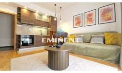 Dvosoban stan, Beograd, Crveni Krst, izdavanje, 37m2, 570e, id1395473
