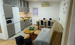 Jednoiposoban stan, Beograd, Krnjača, izdavanje, 44m2, 350e, id1114300