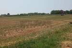 Plac, Kragujevac, Poskurice, prodaja, 9599m2, 100000e, id1395987
