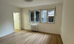 Jednoiposoban stan, Beograd, Cvetni Trg, izdavanje, 32m2, 700e, id1396009