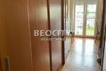 Jednosoban stan, Novi Sad, Cara Dušana, izdavanje, 31m2, 250e, id1396041