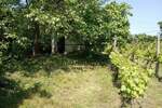 Vikendica, Šid, Berkasovo, prodaja, 30m2, 7200e, id955616