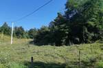 Plac, Lučani, prodaja, 26500m2, 7000e, id1396065