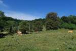 Plac, Lučani, prodaja, 26500m2, 7000e, id1396065