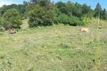 Plac, Lučani, prodaja, 26500m2, 7000e, id1396065