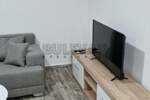 Garsonjera, Niš, Pantelej(Niš), izdavanje, 24m2, 280e, id1143021