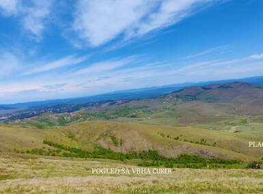 Plac, Zlatibor, Alin Potok, prodaja, 5000m2, 1500e, id1396569