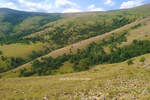 Plac, Zlatibor, Alin Potok, prodaja, 5000m2, 1500e, id1396569