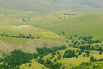 Plac, Zlatibor, Alin Potok, prodaja, 5000m2, 1500e, id1396569