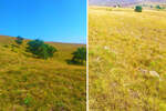 Plac, Zlatibor, Alin Potok, prodaja, 5000m2, 1500e, id1396569