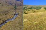 Plac, Zlatibor, Alin Potok, prodaja, 5000m2, 1500e, id1396569