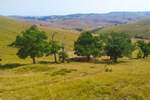 Plac, Zlatibor, Alin Potok, prodaja, 5000m2, 1500e, id1396569