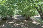 Plac, Smederevska Palanka, prodaja, 6140m2, 10000e, id1396656