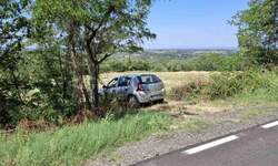 Plac, Smederevska Palanka, prodaja, 10800m2, 10800e, id1396662