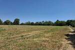 Plac, Smederevska Palanka, prodaja, 10800m2, 10800e, id1396662