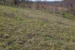 Plac, Beograd, Guncati, prodaja, 0m2, 15500e, id1356076