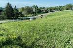 Plac, Kragujevac, Jabučje, prodaja, 5700m2, 30000e, id1397164