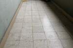 Dvosoban stan, Beograd, Blok 70, izdavanje, 55m2, 500e, id1397165