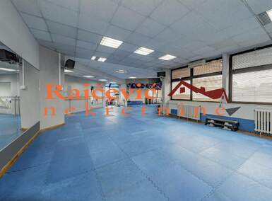 Poslovni prostor / Lokal, Beograd, Banovo Brdo, prodaja, 273m2, 464000e, id1397167