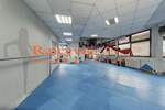 Poslovni prostor / Lokal, Beograd, Banovo Brdo, prodaja, 273m2, 464000e, id1397167