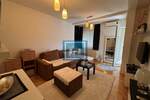 Jednoiposoban stan, Jagodina, izdavanje, 42m2, 250e, id1393291