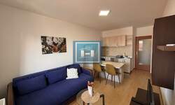 Jednosoban stan, Jagodina, izdavanje, 42m2, 200e, id1395999