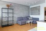 Dvoiposoban stan, Beograd, Karađorđev  trg, izdavanje, 66m2, 900e, id1231278