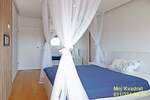 Dvoiposoban stan, Beograd, Karađorđev  trg, izdavanje, 66m2, 900e, id1231278