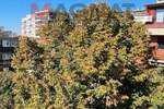 Stan, Beograd, Kalenić pijaca, prodaja, 195m2, 579888e, id1314429