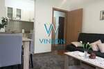 Jednoiposoban stan, Novi Sad, Centar, izdavanje, 35m2, 450e, id501562