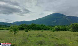 Plac, Boljevac, Mirovo, prodaja, 0m2, 31000e, id1390080
