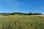 Plac, Boljevac, Valakonje, prodaja, 0m2, 15000e, id1223547