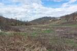 Plac, Boljevac, Dobro polje, prodaja, 0m2, 10000e, id1190560