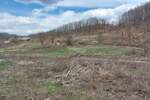Plac, Boljevac, Dobro polje, prodaja, 0m2, 10000e, id1190560