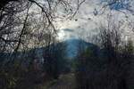 Plac, Boljevac, Mirovo, prodaja, 0m2, 6000e, id1081364