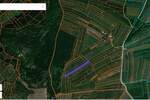 Plac, Boljevac, Ilino, prodaja, 0m2, 13500e, id974764
