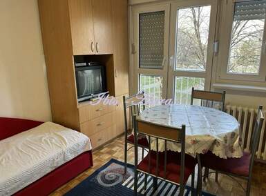 Jednosoban stan, Beograd, Centar, izdavanje, 20m2, 300e, id1208010
