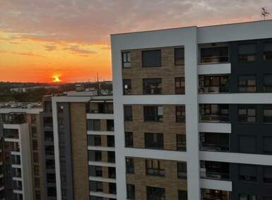 Dvosoban stan, Beograd, FON, izdavanje, 45m2, 800e, id1398213