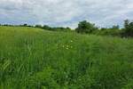 Plac, Beograd, Kumodraz, prodaja, 13000m2, 1300000e, id1398755
