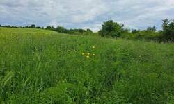 Plac, Beograd, Kumodraz, prodaja, 13000m2, 1300000e, id1398755
