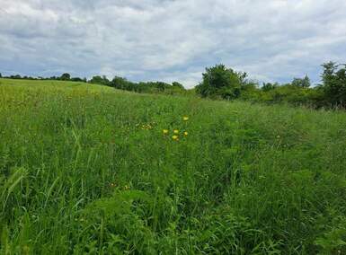 Plac, Beograd, Kumodraz, prodaja, 13000m2, 1300000e, id1398755