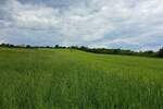 Plac, Beograd, Kumodraz, prodaja, 13000m2, 1300000e, id1398755
