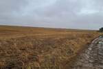 Plac, Irig, Neradin, prodaja, 45000m2, 70000e, id1399392
