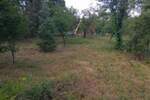 Kuca, Beograd, Amerić, prodaja, 78m2, 47000e, id1375756