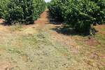 Plac, Subotica, prodaja, 47000m2, 105000e, id1399890