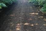 Plac, Subotica, prodaja, 47000m2, 105000e, id1399890