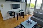 Jednoiposoban stan, Niš, Čair, izdavanje, 36m2, 300e, id1399900