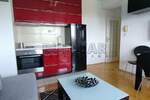 Jednoiposoban stan, Niš, Čair, izdavanje, 36m2, 300e, id1399900