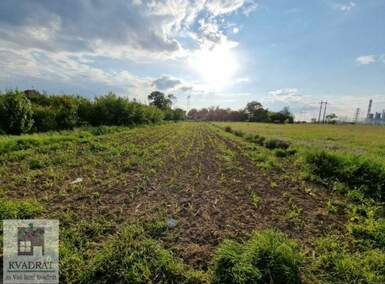 Plac, Beograd, Zvečka, prodaja, 0m2, 33000e, id1399911